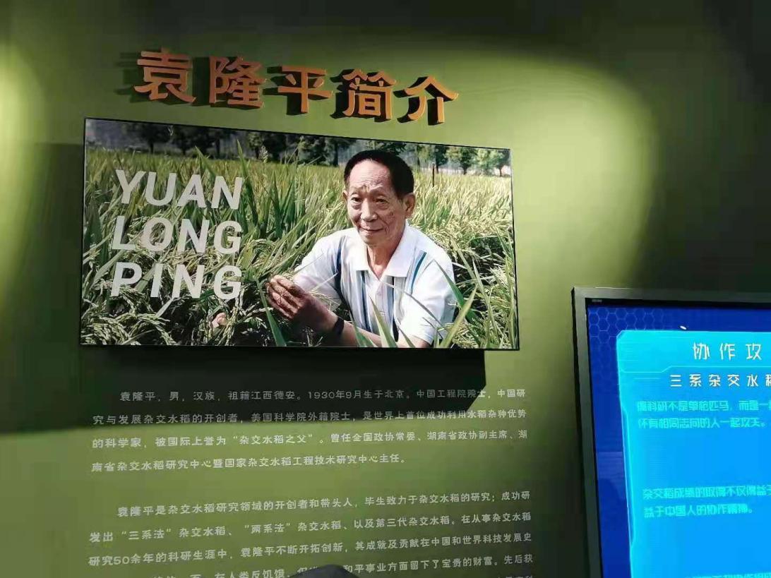 重庆时时彩官网
师生悼念袁隆平院士：巨星陨落，精神长存！